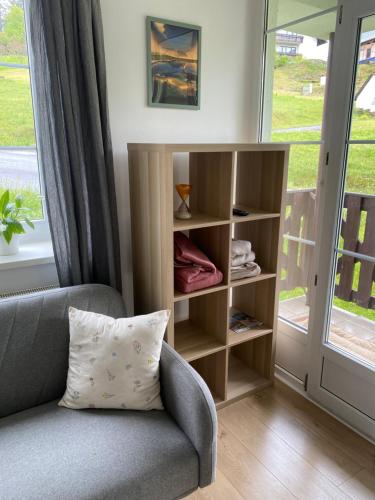Una sala de estar con una silla y una estantería. en Apartmán Na Manhattanu, en Rokytnice nad Jizerou