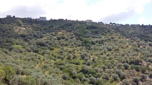 Paesaggio naturale nelle vicinanze del bed & breakfast