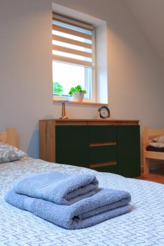 Кровать или кровати в номере Apartament Kościuszki