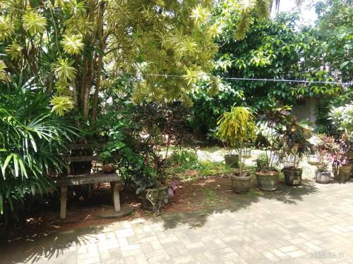 a bench in a garden with trees and plants at Private Guest Room 3 Bunks & Bath Rathanapitiya in Boralesgamuwa