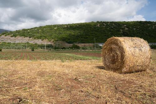 a large stack of hay in a field at Agriturismo Country Casale Rufo in Sonnino