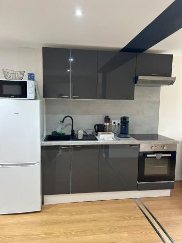 T3 - 2 Chambres et BZ - Vieux Vichy