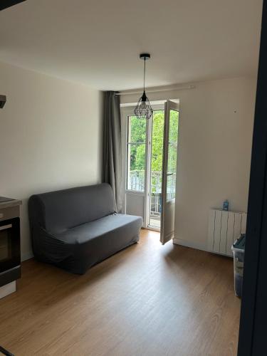 un salon avec un canapé et une fenêtre dans l'établissement T3 - 2 Chambres et BZ - Vieux Vichy, à Vichy