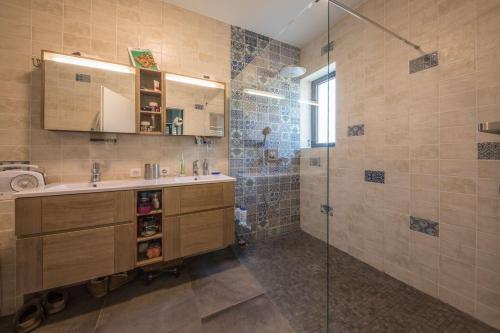 une salle de bain avec un lavabo et une douche dans l'établissement Annecy-le-vieux Villa Rainettes, à Annecy