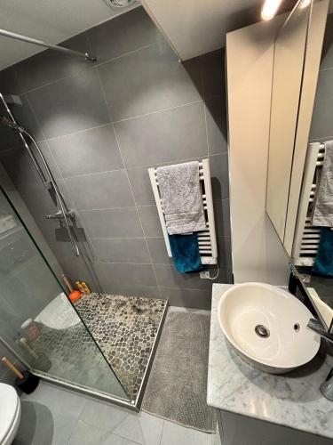 une salle de bain avec douche et lavabo dans l'établissement Appartement Centre ville, à Nice