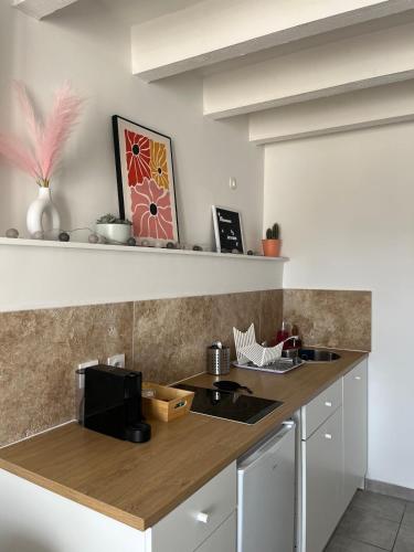 une cuisine avec un comptoir avec un micro-ondes dans l'établissement Duplex T3 cosy, à Avignon