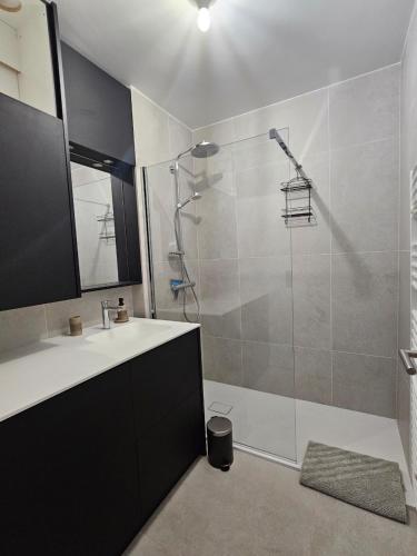 une salle de bain avec une douche avec un lavabo et une douche dans l'établissement Annecy centre , Vue lac, ascenseur 4 pers, à Annecy