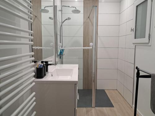 une salle de bain avec un lavabo et une douche dans l'établissement chez mapi, à Saint-Jean-Pied-de-Port