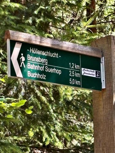 a green street sign in front of some trees at Lütt Heidjer Hus 5 Sterne DTV in Buchholz in der Nordheide