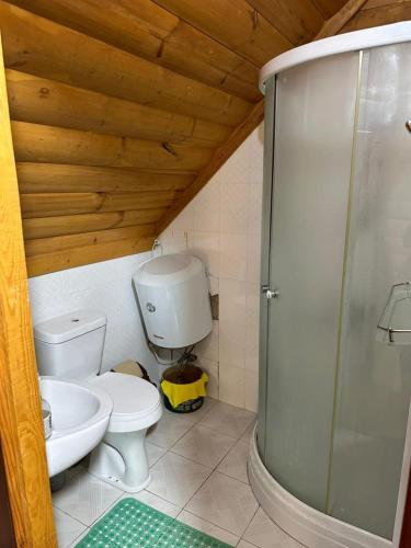 a bathroom with a toilet and a glass shower at Деревяшка in Kara-Oy