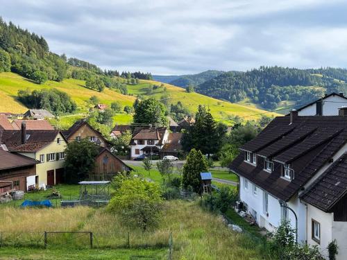 a village with houses and mountains in the background at Ferienzimmer Klosterblick in Münstertal