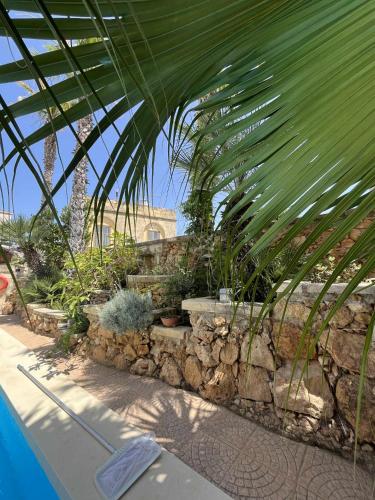 a garden with a palm tree and a stone wall at Ta' Tereża Farmhouse in Xagħra