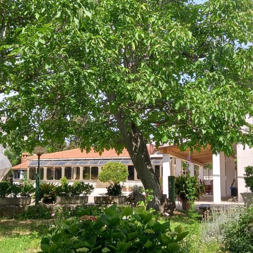 Κήπος έξω από το Apartment Preka