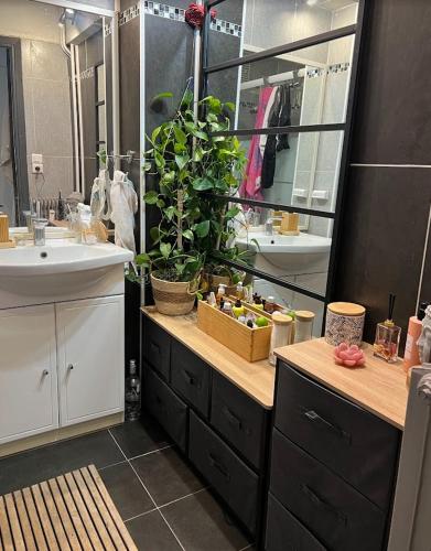 La salle de bains est pourvue d'un lavabo et d'un comptoir avec des plantes. dans l'établissement Paradis su Terre, à Nice