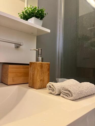ein Waschbecken mit einem Handtuch auf der Theke in der Unterkunft Le Nid d'amour Saint Cyr in Les Lecques