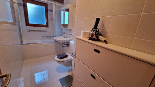 a bathroom with a toilet and a sink at Alpenhof in Saas-Fee