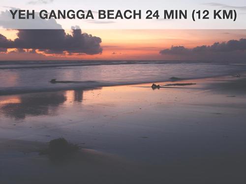 a dog walking on the beach at sunset at Coliving Bali SWEET HOME Kost Lengkap di Tabanan Kota in Tabanan