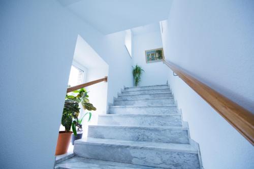 a staircase in a house with white walls and concrete steps at Hotel Burghof in Stolberg