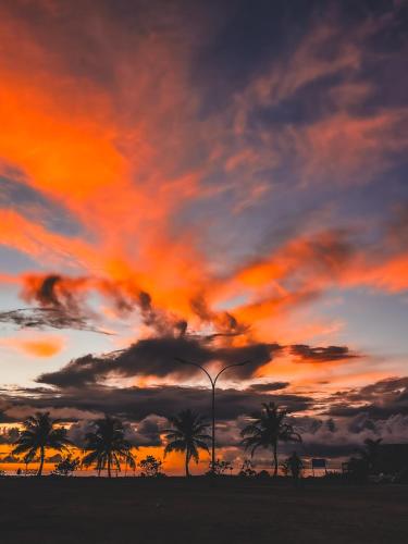 a sunset with palm trees and a street light at Shadow Isles Himandhoo in Himandhoo 