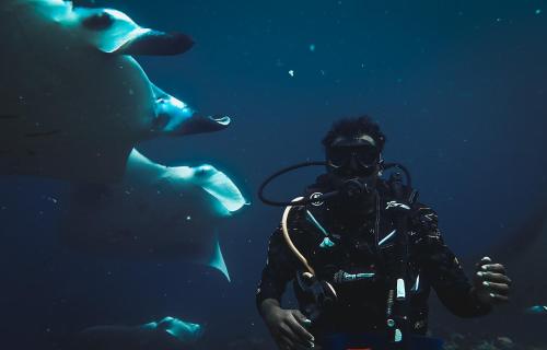 a man standing in the water next to a polar bear at Shadow Isles Himandhoo in Himandhoo 