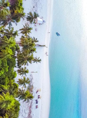 an overhead view of a beach with palm trees and the ocean at Shadow Isles Himandhoo in Himandhoo 