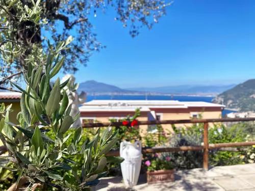 a view of the ocean from a house with a plant at Elisabeth Seaview Apartments Sorrento Coast in Vico Equense