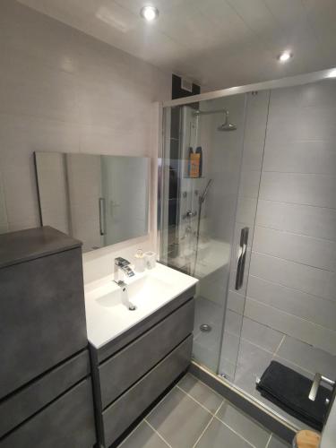 une salle de bain avec un lavabo et une douche dans l'établissement Appartement Biscarrosse - Centre-ville, terrasse, au calme - agréable, tout confort - 4pers, à Biscarrosse