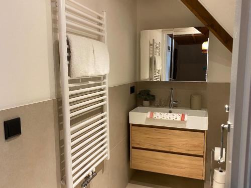 a bathroom with a sink and a mirror at De Geerhoeve in Schalkwijk