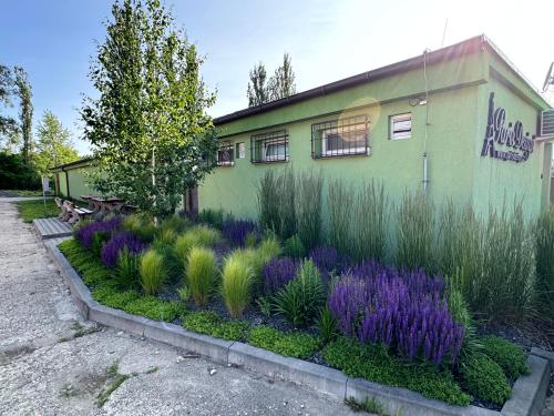 a garden with purple flowers in front of a building at Ubytování ProDante in Ostrava