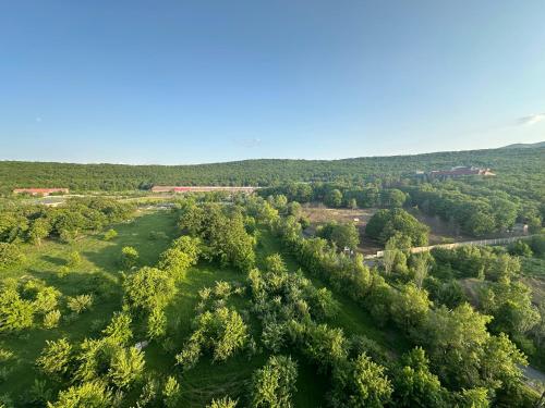 Příroda nedaleko apartmánu