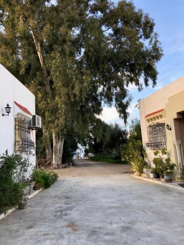 Fotografie z fotogalerie ubytování Dar Sousse v destinaci Sousse