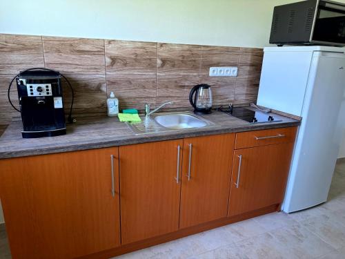 a kitchen with a sink and a white refrigerator at Ubytování ProDante in Ostrava