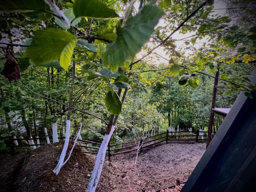 Κήπος έξω από το M Cabin A Frame Predeal Ciubar