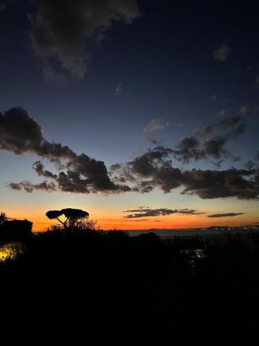 a sunset with a tree in the foreground at Elisabeth Seaview Apartments Sorrento Coast in Vico Equense