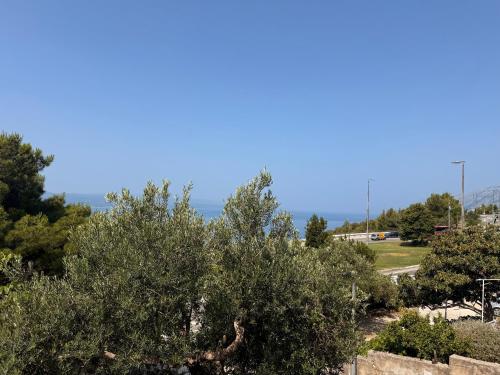 Olive View Apartment Brela - pet friendly