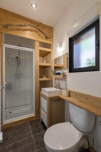 La salle de bains est pourvue d'une douche et de toilettes. dans l'établissement L'Éden - Maison d'architecte, Climatisée, Piscine, Home Cinéma, à Castres