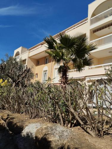 T3 cavalaire dans résidence avec piscine