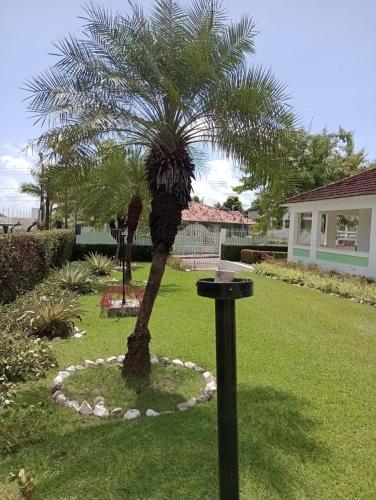 a palm tree in a yard with a trash can at Belíssima casa de Praia in Salinópolis