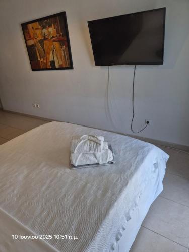 a bedroom with a bed with a television on the wall at cozy panta in Orestiada