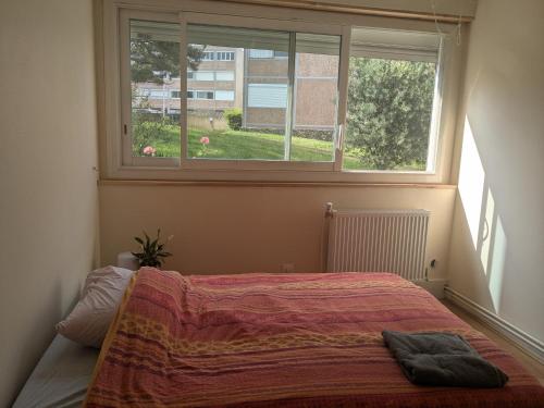 ein Schlafzimmer mit einem Bett und einem großen Fenster in der Unterkunft Chambre cozy, vue sur jardin, proche Tram centre ville & aéroport in Toulouse