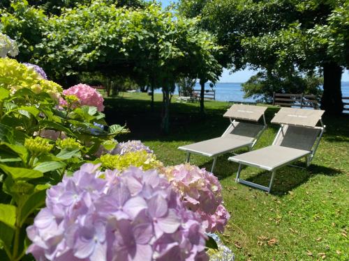 two benches and flowers in a park near the water at Agriturismo Arlena in Bolsena