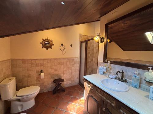 a bathroom with a toilet and a sink and a mirror at Casa Labrega da Torre in Silleda