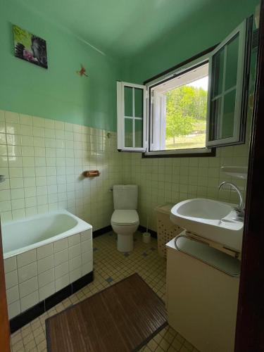une salle de bain avec une baignoire, des toilettes et un lavabo dans l'établissement Pyrénées studio, vue, piscine, à Ayzac-Ost
