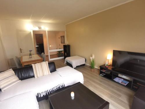un soggiorno con divano e TV a schermo piatto di Appartement Biscarrosse - Centre-ville, terrasse, au calme - agréable, tout confort - 4pers a Biscarrosse
