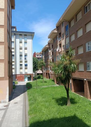 a small tree in the middle of a lawn in front of a building at APARTAMENTO DANAE centro ESS00359 in Zumaia