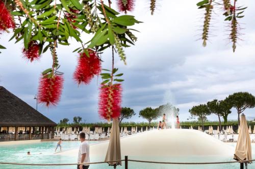 Φωτογραφία από το άλμπουμ του hu Park Albatros village σε San Vincenzo