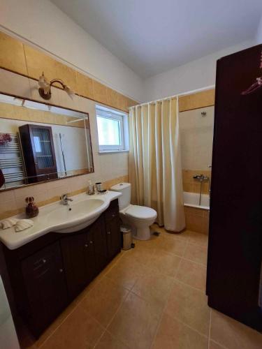 a bathroom with a sink and a toilet and a mirror at Panorama Villa in Plátanos
