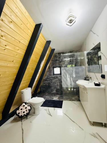 a bathroom with a toilet and a sink at Cabana A-Frame Ariana in Porumbacu de Sus