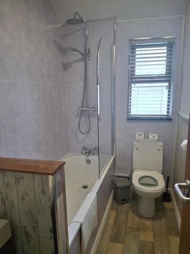 a bathroom with a toilet and a tub and a shower at 2 Bedroom UlsterApartments in Portrush