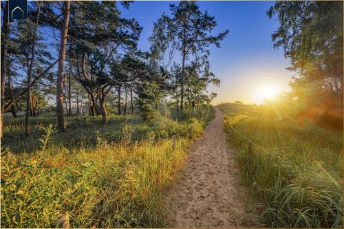a dirt road in a field with the sun setting at FeWo Dock12C in Kolpinsee